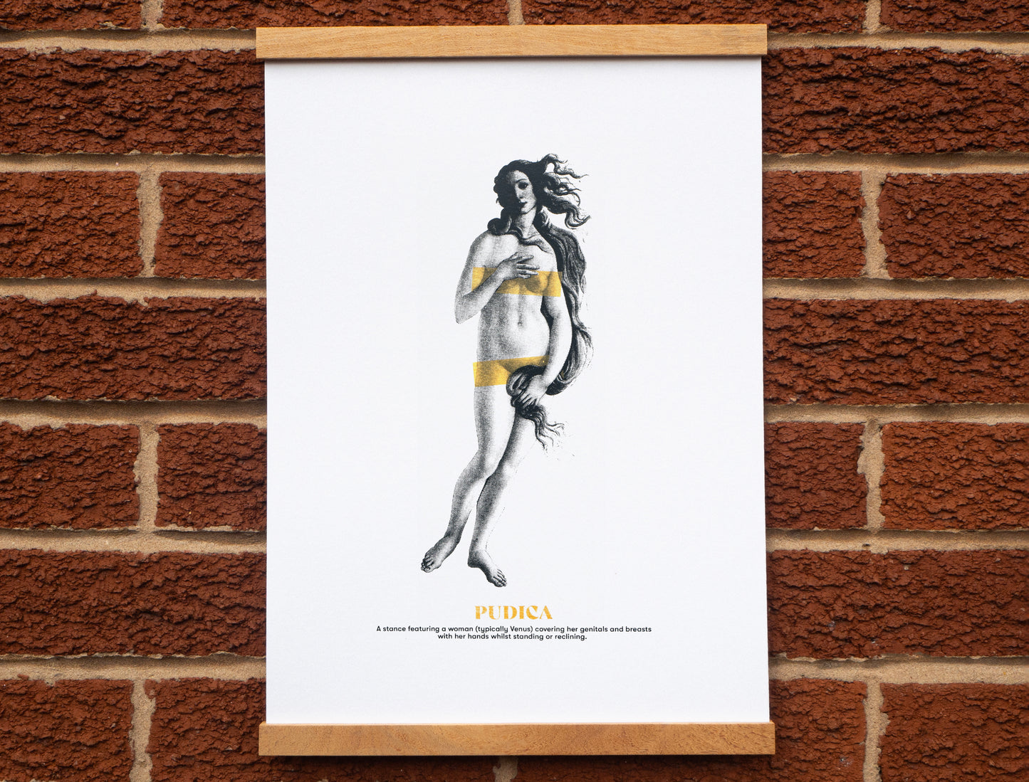 Pudica Silk Screen Print