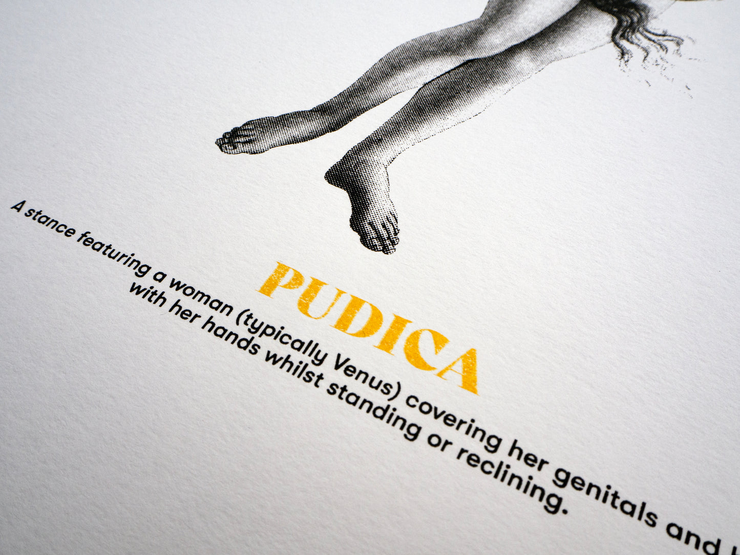 Pudica Silk Screen Print